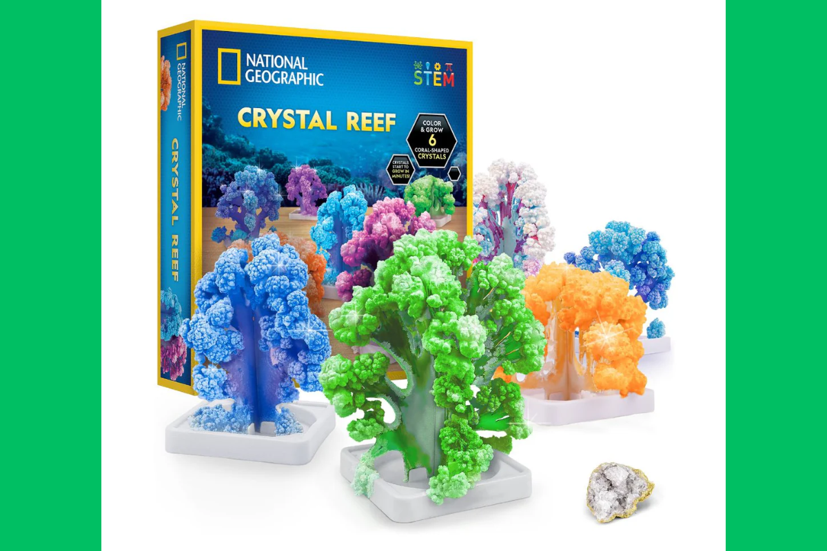 bo-thi-nghiem-nuoi-san-ho-tinh-the-giao-duc